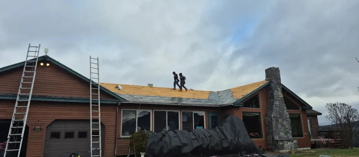 10 Tips for Spotting Hidden Roof Damage Before It's Too Late